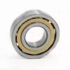 0.787 Inch | 20 Millimeter x 1.85 Inch | 47 Millimeter x 0.551 Inch | 14 Millimeter  CONSOLIDATED BEARING NF-204  Cylindrical Roller Bearings #1 small image