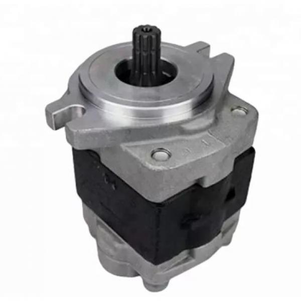 D75A-1 D65S-6/7/8 D65A-6/8/11 Wheel Loader Hydraulic Gear Pump 07430-72203 #1 image