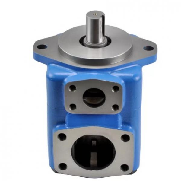 200 Bar T6D Hydraulic High Pressure Vane Pump Cartridge Kits For Denison #1 image
