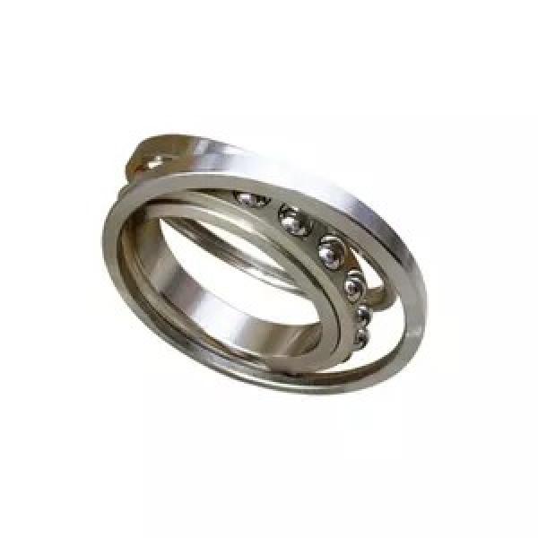 FAG NU2326-E-M1A-C4  Cylindrical Roller Bearings #2 image