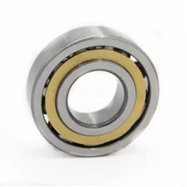 FAG NJ2228-E-M1-C3  Cylindrical Roller Bearings #1 image