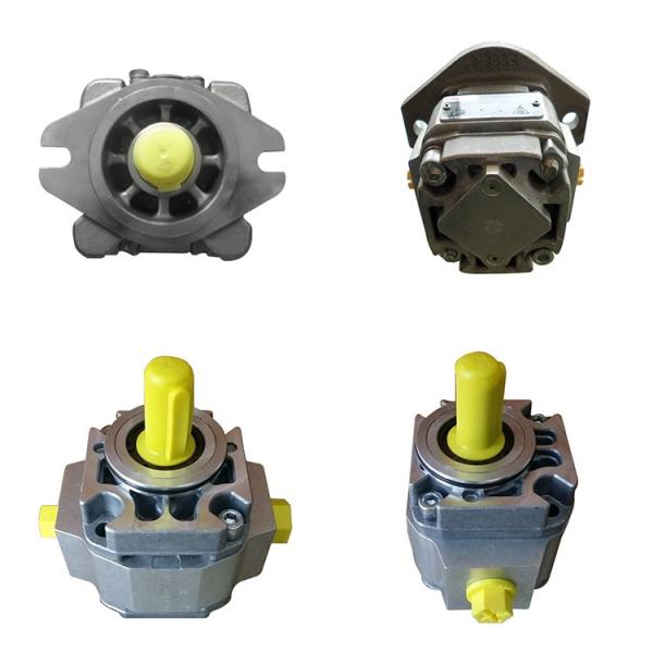 Vickers PV063R1K1L3NFT1+PV063R1K1T1NFT Piston Pump PV Series #1 image
